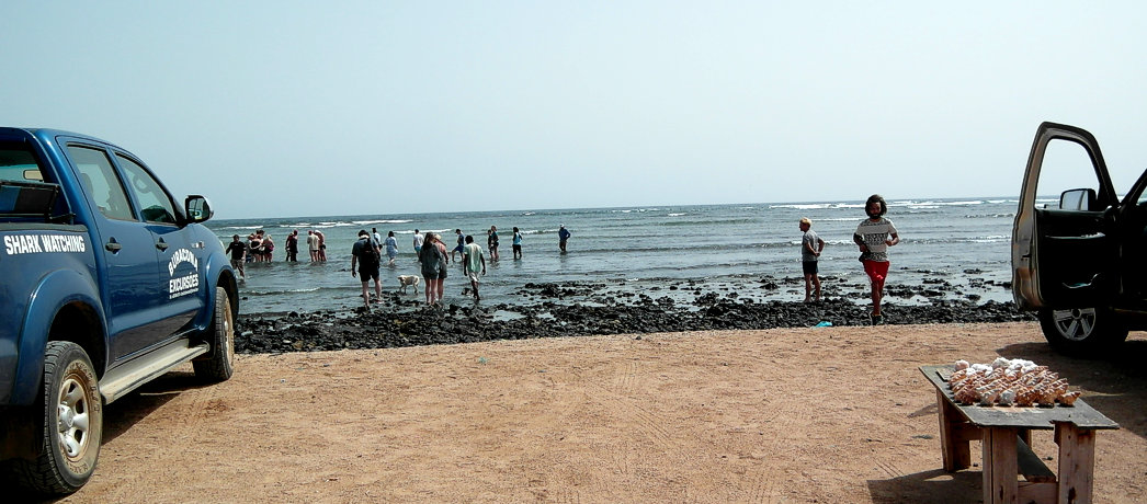 Kapverdische Insel Sal Mitte Ost Shark Bay