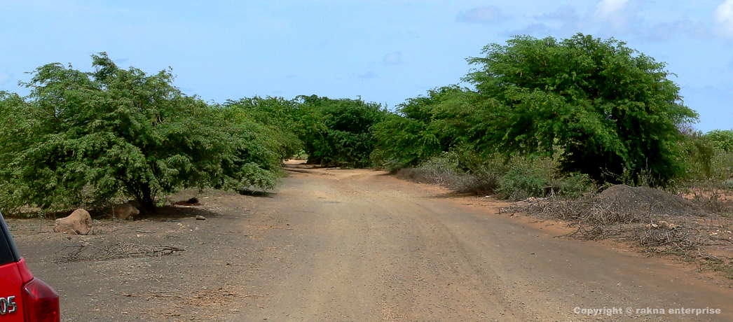 Kapverdische-Insel-Sal-Norden Terra-Boa